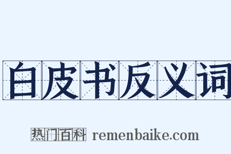 白皮书反义词是什么意思的图片